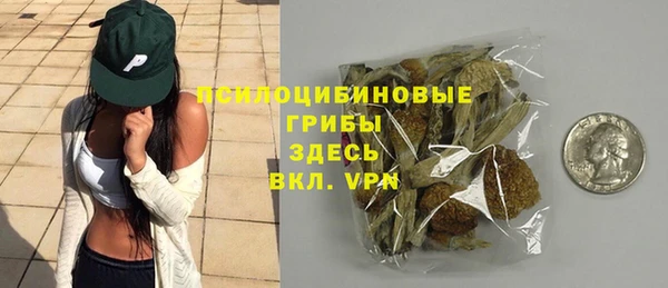 трава Каменногорск