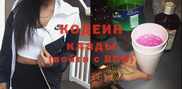 стаф Каменка