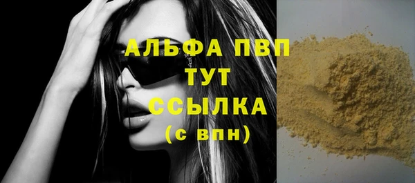 стаф Каменка