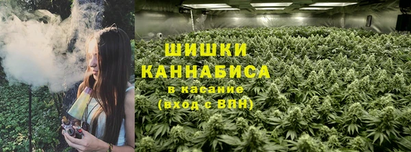 трава Каменногорск