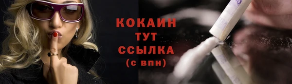 стаф Каменка