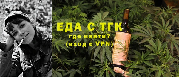 стаф Каменка