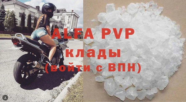 стаф Каменка