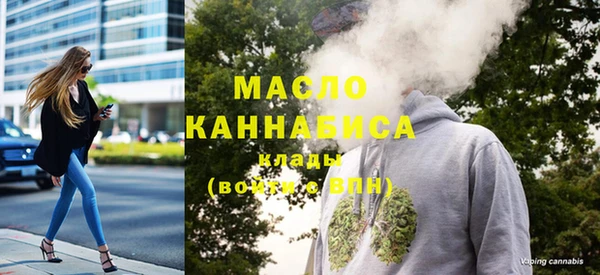 стаф Каменка