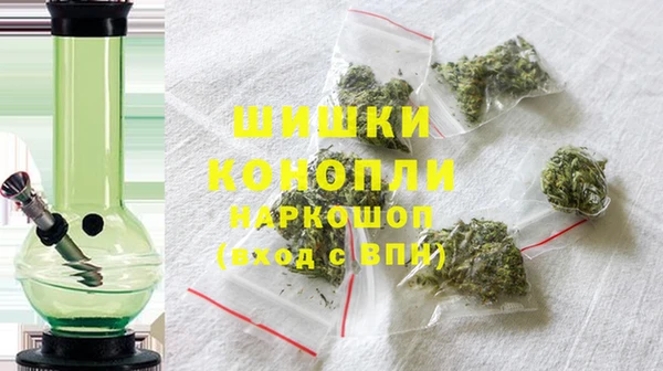 стаф Каменка