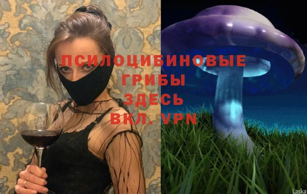 трава Каменногорск