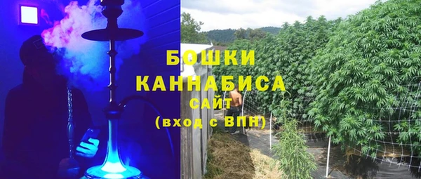 стаф Каменка