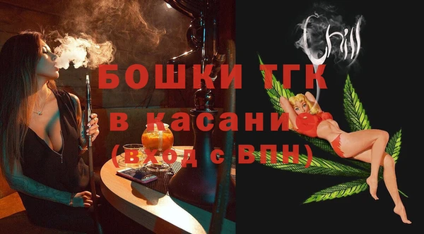 стаф Каменка