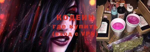 стаф Каменка