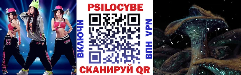 Купить закладки  Боготол  Галлюциногенные грибы Psilocybe 